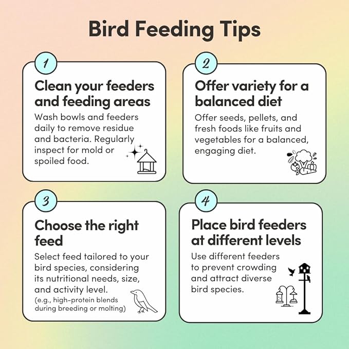 Mycelium Organic Lovebird Superfood (5 LB Bag) | High-Energy Bird Seed for Lovebirds | Premium Seeds, Grains & Superfoods for Brain, Heart, & Digestive Health | Non-GMO, USA Made, No Fillers