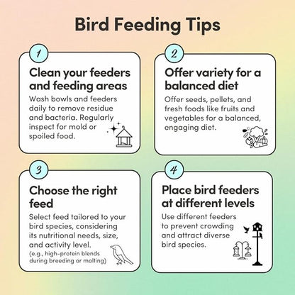 Mycelium Organic Lovebird Superfood (5 LB Bag) | High-Energy Bird Seed for Lovebirds | Premium Seeds, Grains & Superfoods for Brain, Heart, & Digestive Health | Non-GMO, USA Made, No Fillers