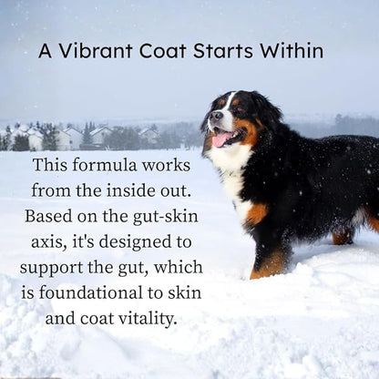 Petcultures Skin & Coat TriBiotic Formula | Powder Food Topper Supplement, Not a Treat with Probiotic, Prebiotic and Postbiotic | with Omegas, Biotin & Zinc for Skin Vitality | 30 Packs | Made in USA