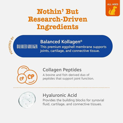 Zesty Paws Multi Collagen Soft Chews for Dogs - for Hip, Joint & Cartilage Support + Skin Health - with Collagen - Plus Eggshell Membrane, Vitamin C & Hyaluronic Acid - 90 Count