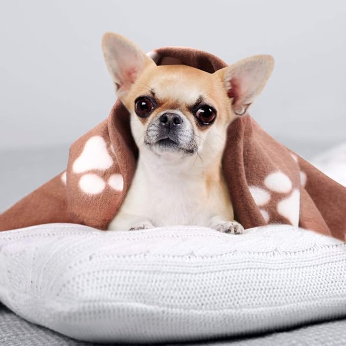 Comsmart Dog Blankets for Small Dogs, 6 Pack Puppy Blanket Cute Paw Print Pet Blanket for Dog, Puppy, Cat, Kitten, 24x28 inches, Brown