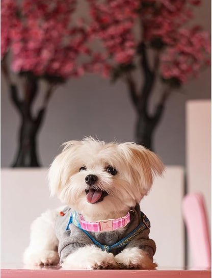 Lionheart glory Valentine's Day Collar, Pink Plaid Dog Collar for Small Cute Dog Collars Spring Female Pet Gift Adjustable Heavy-Duty Dog Collar Holiday