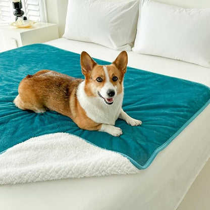 Bucephalus Waterproof Dog Blanket, Thick Reversible Soft Pet Blankets for Couch Bed Protection, Pee Proof Sherpa Fleece Blanket for Small Medium Large Dogs Puppy Cats Washable (Teal, 30"_40")