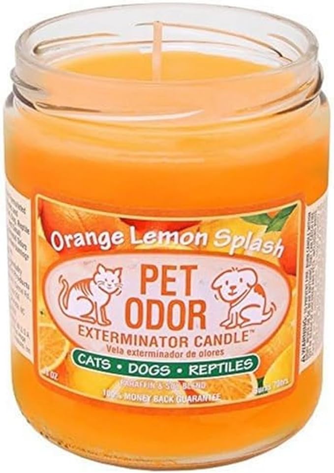 0 Pet Odor Exterminator Candle Orange Lemon Splash