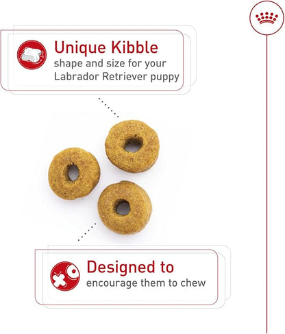 Royal Canin Breed Health Nutrition Labrador Retriever Puppy Dry Dog Food, 30 lb.