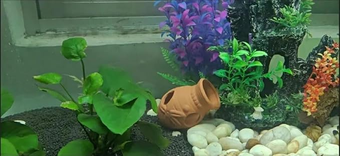 Ceramic Shelters, 2 pcs, Fish Tank Accessories, Fish House, Swim Holes Aquatic, Aquarium Cave for Freshwater and Saltwater Fish Tank, Pets to Breed, Play and Rest Decor (Pot)