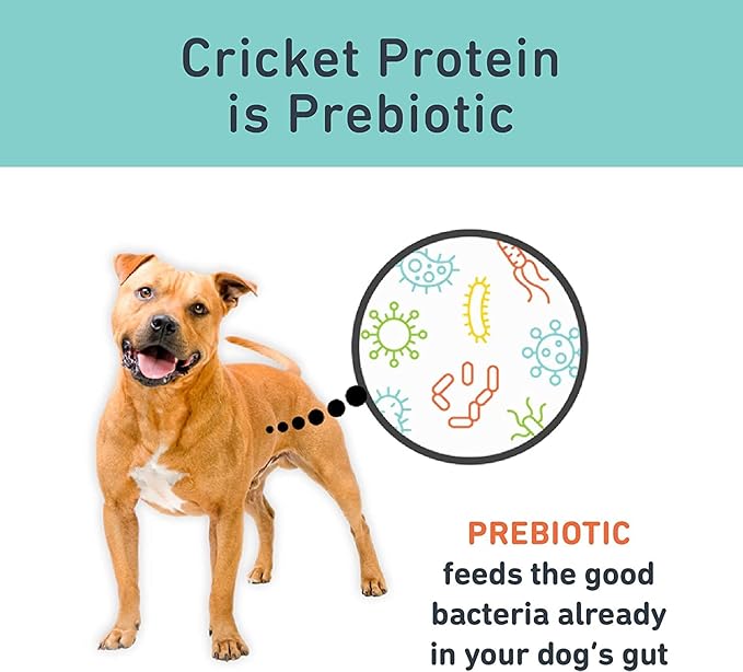 Jiminy's Original Cricket Cookie Dog Treat, Hypoallergenic, 5oz, Peanut Butter & Pumpkin Pack of 3