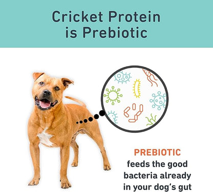 Jiminy's Original Cricket Cookie Dog Treat, Hypoallergenic, 5oz, Peanut Butter & Pumpkin Pack of 3