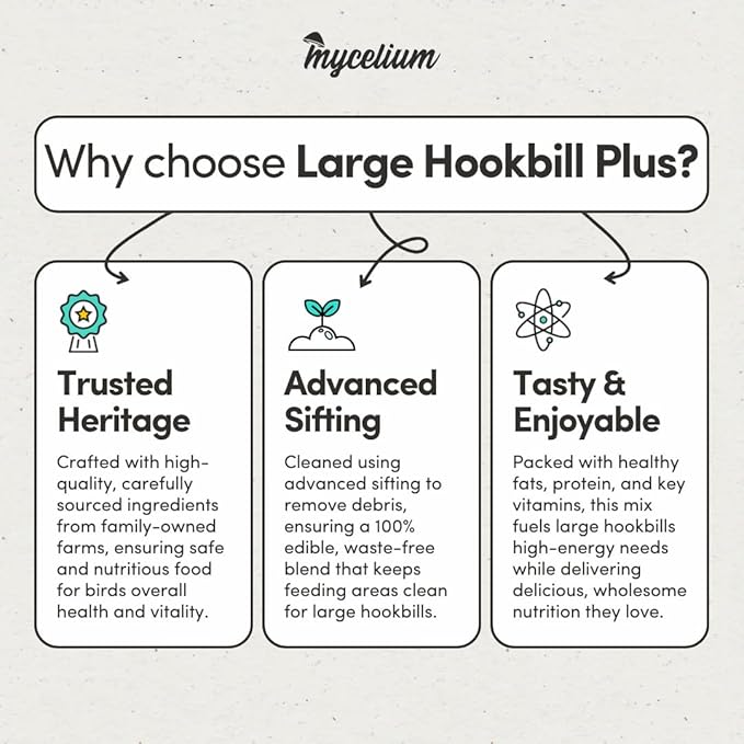 Mycelium Large Hookbil Plus | Clean & Safe Bird Food for Macaws, Cockatoos, Amazons | High in Protein & Fat | Seed Mix with Vitamins, Egg, Corn, Peanuts & Hemp Seed | Organic, Non-GMO 5 lb Bag