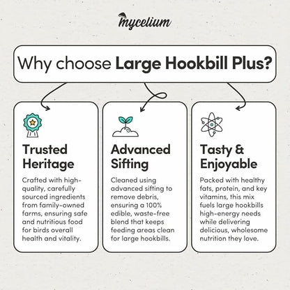 Mycelium Large Hookbil Plus | Clean & Safe Bird Food for Macaws, Cockatoos, Amazons | High in Protein & Fat | Seed Mix with Vitamins, Egg, Corn, Peanuts & Hemp Seed | Organic, Non-GMO 5 lb Bag