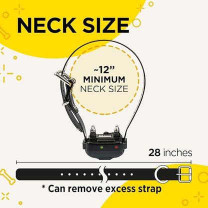 Dogtra iQ Plus Additional Receiver Rechargeable Waterproof 400-Yard Remote Dog Training E-Collar