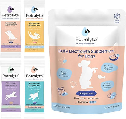 Petralyte Dog Electrolytes and Joint Supplement | Glucosamine, Chondroitin & MSM for Inflammation and Mobility Support | Electrolytes for Dogs with Prebiotics | Sample Pack | 8 Packets