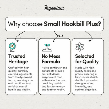 Mycelium Premium Small Hookbill Plus | High-Protein Bird Food for Lovebirds, Parrotlets, & Small Parrots | Organic Seed & Grain Mix with Eggs, Safflower, Millet, Pumpkin, & Oat Groats | 5 lb Bag