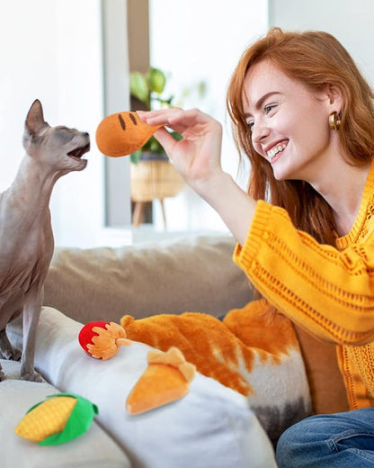 CiyvoLyeen 6pcs Thanksgiving Catnip Toys Plush Cat Chew Bite Resistant Toys Interactive Boredom Relief Teeth Cleaning Kitten Toys for Fall Thanksgiving Cat Lover Gift