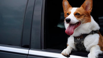 Dog Harness, No Pull Dogs Harness and Multi-Function Leash Set for Medium Dogs Easy Walk Everyday Adjustable Soft Dog Vest Harness Fashionable Dog Accessories Camouflage Blue-L