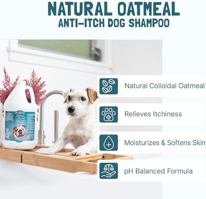 Bio-Groom Oatmeal Dog Shampoo-for Allergies and Itching, Cruelty-Free, Dog Bathing Supplies, Puppy Shampoo for Sensitive Skin, Made in USA, Anti-Itch Dog Products-2.5 Gallons