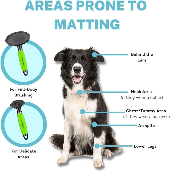 CONAIRPRO Dog & Cat Dog Brush for Shedding, Small Slicker Brush with Reinforced Metal Tips, Ideal for Smaller Breeds Green