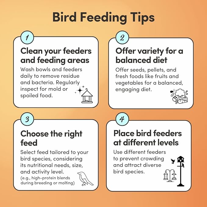 Mycelium Cockatiel Bird Food (5 LB Bag) | Organic Bird Seed for Cockatiels & Small Birds | Supports Feather Shine & Daily Energy | Premium Dust-Free Blend | Non-GMO & USA Made