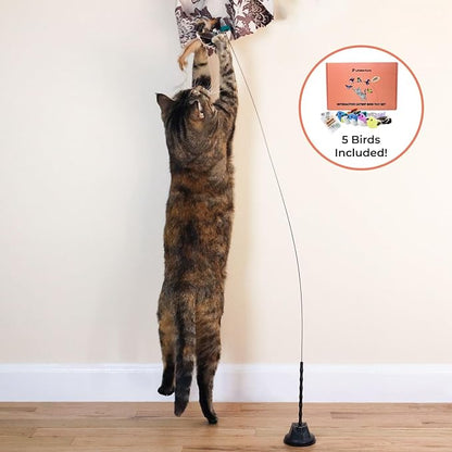 Interactive Bird Simulation Cat Toy Set, Interactive Cat Toys for Indoor Cats, Cat Feather Toy, Self-Holding Suction Cup, 5 Catnip Birds, Feathers, Bells (Catnip Bird Toy Set with 5 Birds)