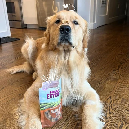 Health Extension Oven-Baked Dog Treats, 6oz (170g), Peanut Butter & Banana Recipe – Gluten & Grain-Free, Superfood-Infused, Crunchy Biscuits for Puppy Training (Pack of 6)