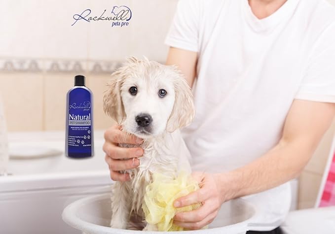 Dog Shampoo for Dry and Itchy Skin Made in The USA by Rockwell Pets Pro (16 fl oz) ideal paw cleaner for dogs with Aloe Vera Argan Oil Natural Willow Meadowsweet Chaparral and Olive Extracts