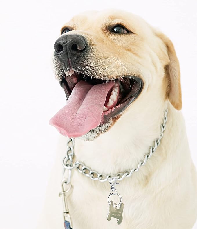 Dog Tag Clips Penta Angel 4Pcs Pet ID Name Tag Buckle Clips with 10Pcs Key Rings for Dog Cat Puppies Collars and Harnesses