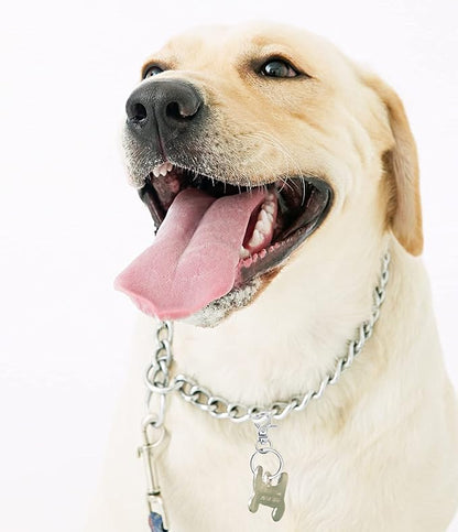 Dog Tag Clips Penta Angel 4Pcs Pet ID Name Tag Buckle Clips with 10Pcs Key Rings for Dog Cat Puppies Collars and Harnesses