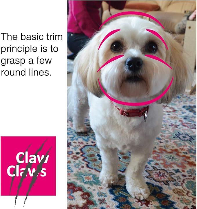 6 Inch Grooming Straight Scissors with Safety Round Tip and Wave Style Handle for Baby Hair Cutting Shears