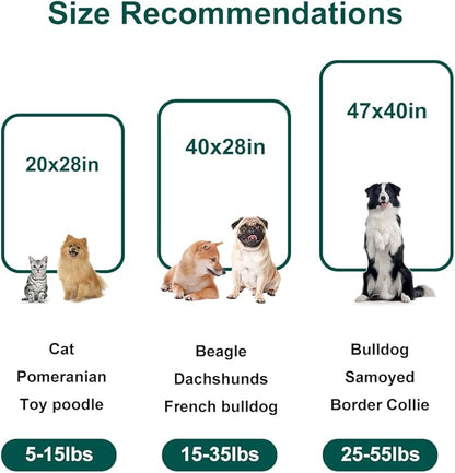 Onarway Dog Blanket Washable for Puppy: 4 Packs Dog Blankets 40”x28” - Fluffy Soft Small Throw for Cat Puppy Kitten Dogs - Fleece Pet Blankets for Bed Sofa Car and Indoor - Purple