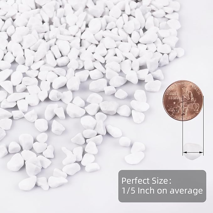 5lb River Rocks Polished Silica Gravel for Plants Garden, Decorative Pebbles Ideal for Fish Tank, Vases, Succulents, Crafting, Home Decor and Garden Landscaping, Snow White(0.2-0.3”)