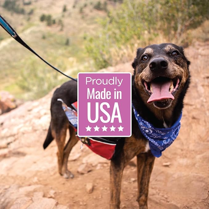 Smart Cookie Duck Jerky Dog Treats with Flax Seed, Omega Oils- Hypoallergenic Strips for Dogs and Puppies with Allergies, Sensitive Stomachs - Dehydrated, Grain Free, Made in USA - 3oz Bag, Pack of 3