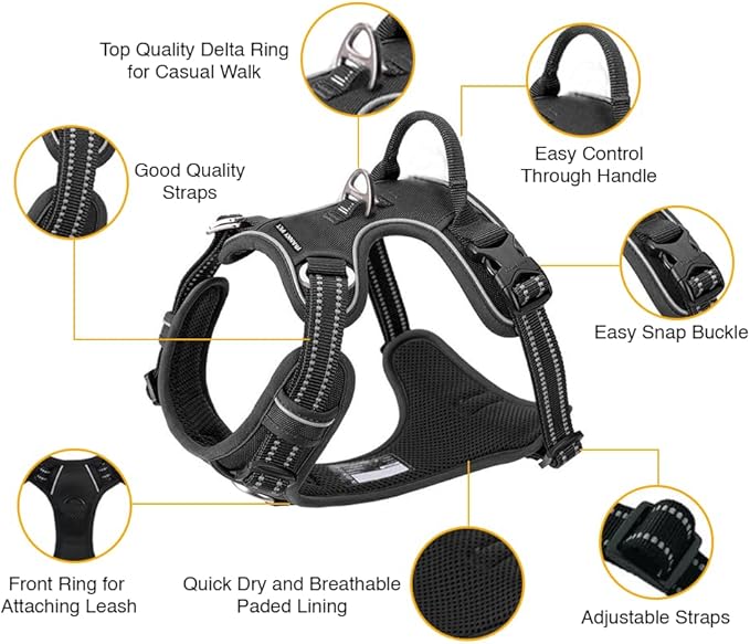 Dog Harness and Leash Duo, No Pull Vest Harness with 5 Ft Leash, Soft padded Vest, No-Choke Oxford Pet Harness, Easy Control Handle and Adjustable Pet Harness (Blue, Medium)