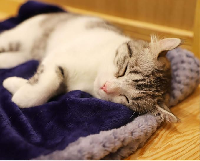 furrybaby Dog Blankets for Medium Dogs & Cats for Couch, Reversible Flannel Blankets for Pets 32x40 Inch, Cat Blankets for Indoor Cats Washable (Blue)