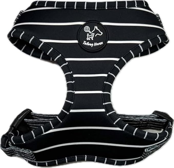 Dog Harness and Leash Set, No Pull Adjustable Soft Padded Vest, No Choke (Large, White Stripe)