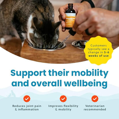 100% Natural Liquid Glucosamine Chondroitin with MSM for Cats, Hip & Joint Supplement for Senior Felines, Arthritis Support & Mobility Booster Glucosamine Drops, 2 Oz