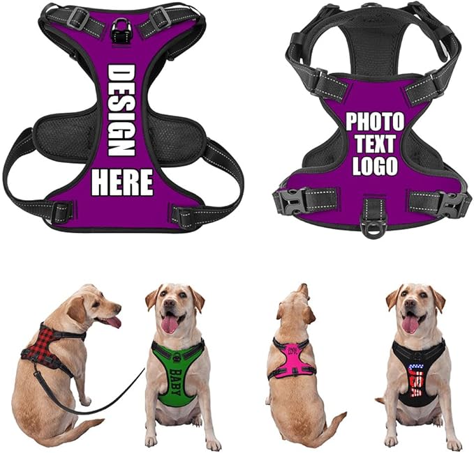 Custom Breathable Pet Chest Harness with Optional Leash, Customize No-Pull Dog Harnesses with Your Personalized Design, Personalize Pet Towing Vest with Mesh Fabric, PurePurple, XL
