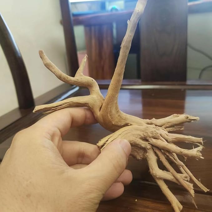 10pcs Natural Small Spiderwood Driftwood for Aquarium Decor Aquarium Driftwood Freshwater Reptile Driftwood Aquarium spiderwood (spiderwood 5-6inch 10pcs)
