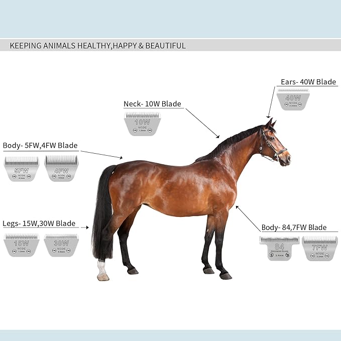 10W Wide Pet Dog Grooming Detachable Blades,Compatible with Andis,Oster A5,Wahl KM10 Clippers,Cut Length 1/16"(1.5mm),Fit for Larger Animals