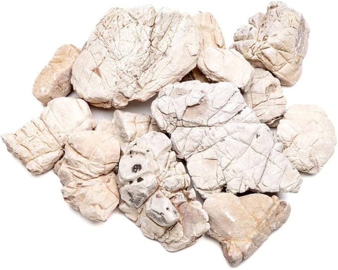 SubstrateSource Natural Stone for Aquarium, Terrarium, Paludarium, Reptile Enclosures - Set of Decorative Rocks for Landcapes, Aquascaping, Fish Tank Decor (White Elephant Skin Stone, 30 Pounds, 2-8")