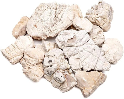 SubstrateSource Natural Stone for Aquarium, Terrarium, Paludarium, Reptile Enclosures - Set of Decorative Rocks for Landcapes, Aquascaping, Fish Tank Decor (White Elephant Skin Stone, 30 Pounds, 2-8")