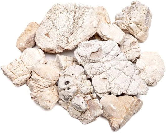 SubstrateSource Natural Stone for Aquarium, Terrarium, Paludarium, Reptile Enclosures - Set of Decorative Rocks for Landcapes, Aquascaping, Fish Tank Decor (White Elephant Skin Stone, 30 Pounds, 2-8")