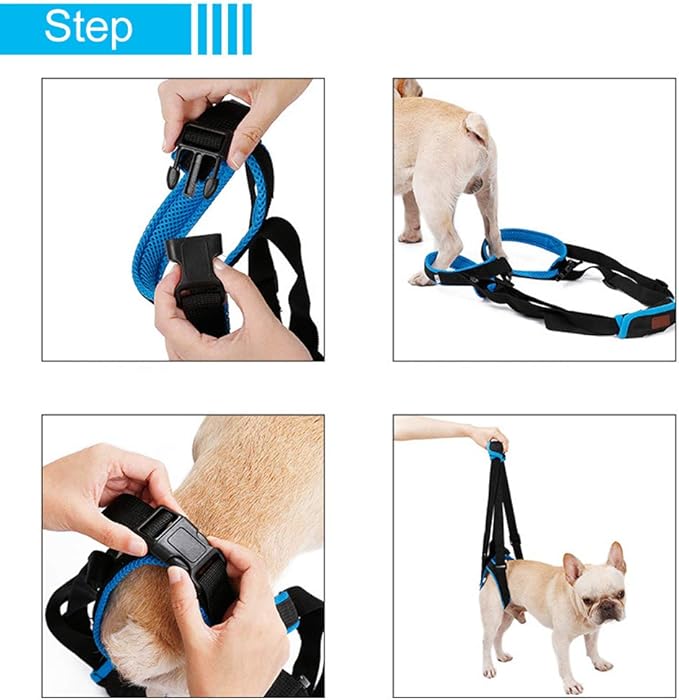 Adjustable Pet Dogs Lift Support Harness Breathable Mesh Padded Sling Straps Canine Support Rehabilitation for Injuries Arthritis Weak hind Legs & Joints, Blue (L)