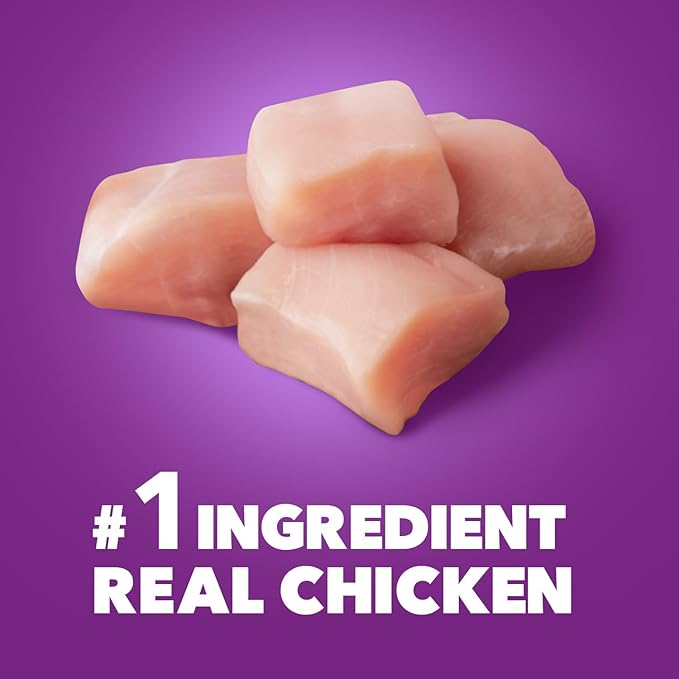 IAMS Advanced Health Healthy Digestion Adult Dry Dog Food with Real Chicken, 6 lb. Bag