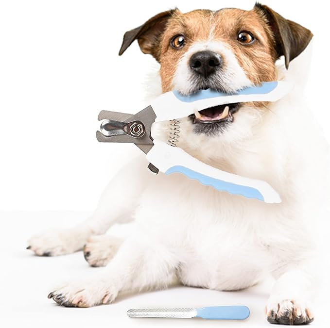 SunGrow Dog Nail Clipper and File Set, with Clipper and File, Razor Sharp Blade with Safety Switch, Blue and White, 1 Set per Pack