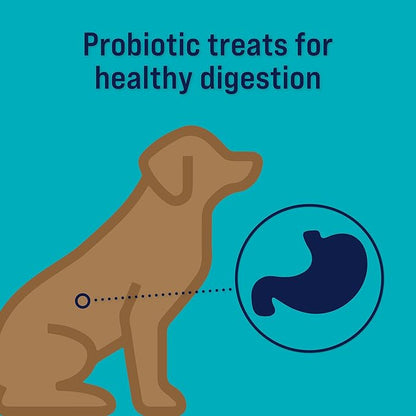 Stewart Freeze Dried Dog Treats, Healthy Gut Chicken & Vegetable, Gut Health Probiotics, Grain Free, 4 Ounce Resealable Pouch, Made in USA