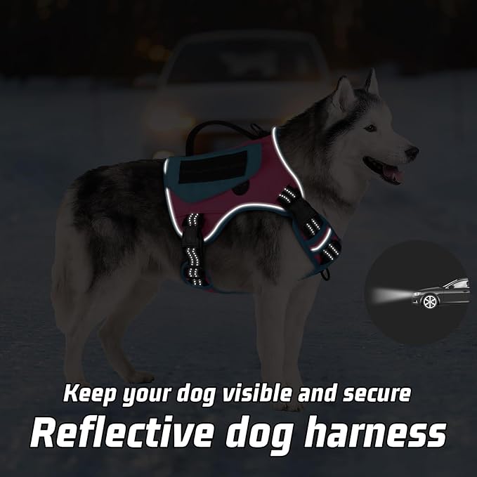 WINGOIN Tactical Dog Harness for Small Dogs, No Pull Harness with Handle Pockets Poop Bag, Reflective Dog Vest, Military Service Heavy Duty Big Dog Harness for Walking Hiking Training, Pink Blue, S