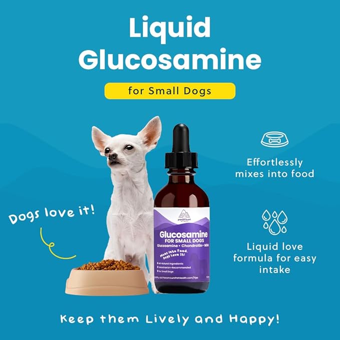 Paramount Pet Health Liquid Glucosamine for Small Dogs, 260mg Glucosamine Liquid for Dogs Joint Supplement for Mobility & Comfort, Easy-to-Use Liquid MSM & Chondroitin, 2 oz