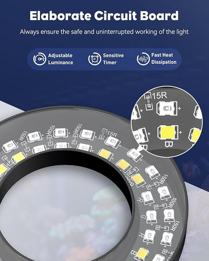 Pawfly Aquarium Light for 1-3 Gallon Saltwater Fish Tanks, Clip On LED Reef Light for Corals, Dimmable USB Aquarium Lamp with Full Spectrum Lighting and Timer (Adapter Not Included)