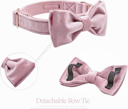 ARING PET Velvet Dog Collars with Bow tie, Bowtie Dog Collar, Cute Pink Collar for Girl and Boy Dogs,Large.