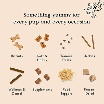 Bocce's Bakery Skin & Coat Supplement for Dogs, Daily Chews Made in The USA with Vitamin E & Essential Fatty Acids, Supports Healthy Skin & Coat, Salmon, 60 ct, Red (DG-SP-SKIN60)